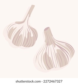 Unpeeled heads of garlic of various shapes. Organic food. Hot spice. Food icons. Isolated objects.