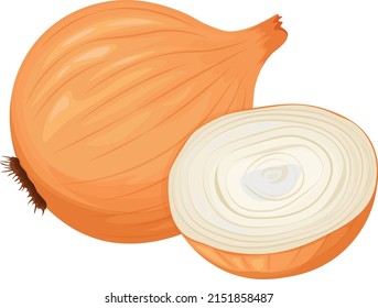 Unpeeled onion head. Vegan, vegetarian food. An ingredient for cooking.Bulbous vegetable.A natural healing remedy. Vector illustration of a bow isolated on a white background