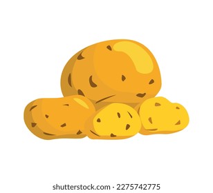 Unpeeled raw potatoes flat icon vector illustration