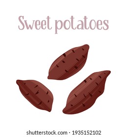 Unpeeled sweet potato tubers. Carbohydrates for healthy nutrition. Vector hand drawn flat isolated illustration with dry brush texture and hand written lettering for your design.