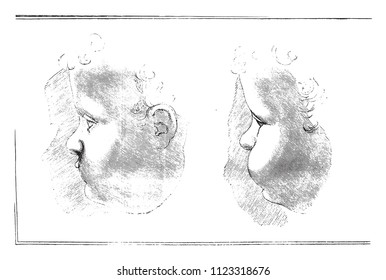 Dibujos no publicados de Leonardo da Vinci, ilustración vintage. Magasin Pittoresque 1858.