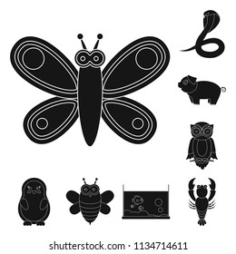 An unrealistic animal black icons in set collection for design. Toy animals vector symbol stock web illustration.