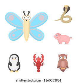 An unrealistic animal cartoon icons in set collection for design. Toy animals vector symbol stock web illustration.