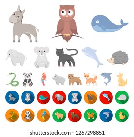 An unrealistic animal cartoon,flat icons in set collection for design. Toy animals vector symbol stock web illustration.