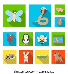 An unrealistic animal flat icons in set collection for design. Toy animals vector symbol stock web illustration.