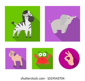 An unrealistic flat animal icons in set collection for design. Toy animals vector symbol stock web illustration.