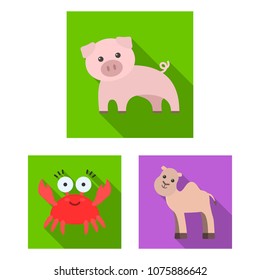 An unrealistic flat animal icons in set collection for design. Toy animals vector symbol stock web illustration.
