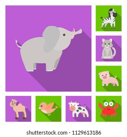 An unrealistic flat animal icons in set collection for design. Toy animals vector symbol stock web illustration.