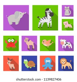 An unrealistic flat animal icons in set collection for design. Toy animals vector symbol stock web illustration.