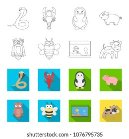 An unrealistic outline,flat animal icons in set collection for design. Toy animals vector symbol stock web illustration.