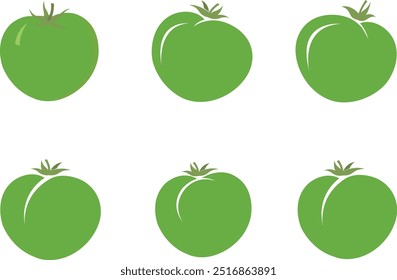Unripe Tomato Set: Vector Illustration. Unripe Produce. Fresh Organic Green Tomatoes. Stock Vector for Food and Agriculture.