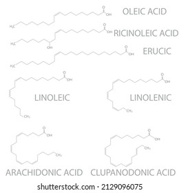 Unsaturated Fatty Acids Molecular Skeletal Chemical Formula.	Vector Illustration.