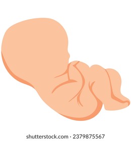 unsexed baby embryo flat character