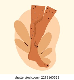 Unshaved hairy female legs with leaves. Body positive, normalize female body hair, skin care. Vector illustration in cartoon style. Isolated white background.