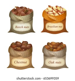 Untied sacks with batch of nuts and text labels on them / Four untied sacks with beech nuts, oak nuts, Brazilian nuts, chestnuts and names on them
