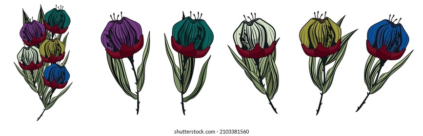 Unusual, abstract, painted flowers. Vector illustration of a spring bouquet. Botany. Flowers isolated on a white background. Graphic drawing.