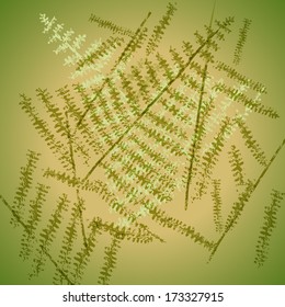 Unusual background, backdrop with trace of fern leaves 