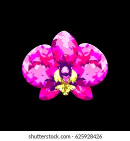 Unusual brilliance pink orchid.vector illustration