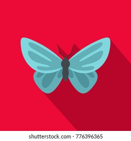 Unusual butterfly icon. Flat illustration of unusual butterfly vector icon for web