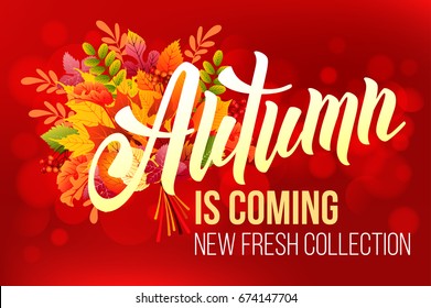 Unusual calligraphic inscription Autumn is coming with bouquet of autumn leaves. Conceptual vector illustration for advertising new product or announcement other events.