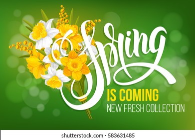Unusual calligraphic inscription Spring is coming with spring flowers - bouquet of daffodils and mimosa. Conceptual vector illustration for advertising new product or announcement other events.