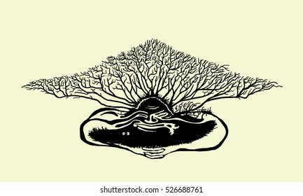 Unusual esoteric character Vector illustration of a wise man wood.