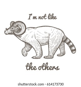 Unusual fantastic animal and phrase "I'm not like the others". Funny creature includes torso of polar bear, head of steppe ram, tail of raccoon. Vector illustration. Black and white. Vintage engraving