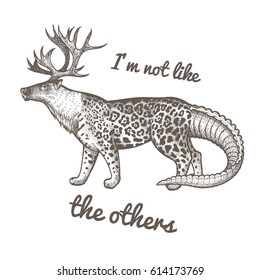 Unusual fantastic animal and phrase "I'm not like the others". Funny creature includes head of reindeer, torso of jaguar, tail of crocodile. Vector illustration. Black and white. Vintage engraving.