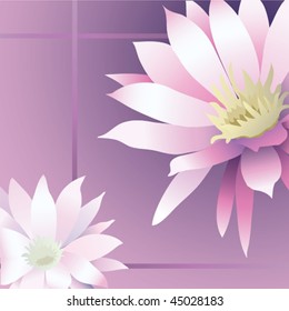 Unusual flowers
