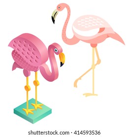 Unusual illustration of a set of birds. Vector flat icon flamingos and its isometric view. Two design on isolated on white background.