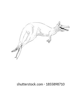 Unusual mixture of animals. 
Kangaroo with crocodile head. Hybrids species sketch. Fantasy art. Vector illustration clip art.