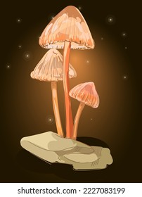 Unusual mushrooms in the glow