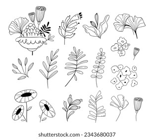 Unusual similar to folk flowers, leaves, berries and branches, floral clipart bundle, odd apothecary plants, botanical hand drawn line images, fantasy formed wildflowers isolated vector designs