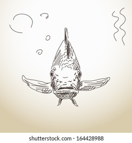 Unusual sketch of fish from front Vector