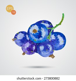 Unusual trendy poly style black currant isolated on background. Vector version