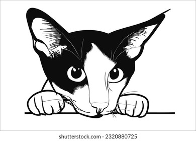 Unveil the enchantment of the Oriental Bicolor, a delightful cat peering with curiosity. Its mesmerizing color patterns and adorable expression make it an ideal choice for your creative endeavors.