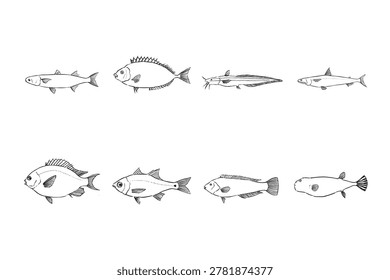 Unwanted Catch Fish Illustration Set for Sea Fishing