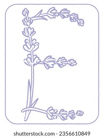 Upper case letter. "E". Lavender flower font. Vector illustration.