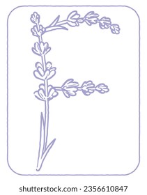 Upper case letter. "F". Lavender flower font. Vector illustration.