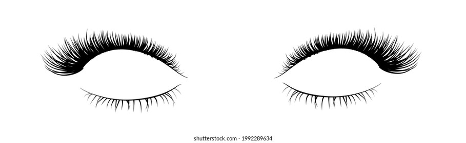 Upper and down black detailed realistic beautiful eyelashes, fashion element isolated on white