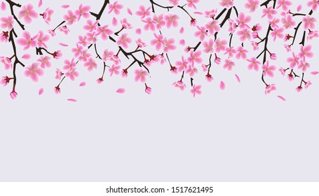 Bordure du cadre supérieur de la bannière avec des branches fleuries de cerises ou de sakura japonais isolées sur fond floral. Arrière-plan Printanier et mariage.