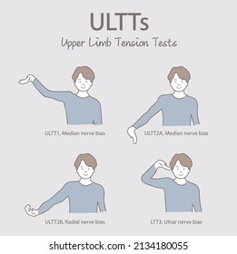 Upper Limb Tension Tests (ULTTs). Physical Therapy Musculoskeletal. Shoulder pain. Healthcare and medicine illustration.
