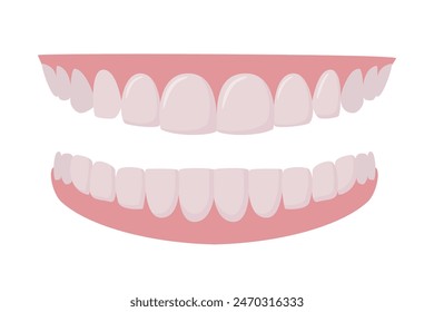 Upper and lower jaws. Dentures or false teeth realistic vector design of orthodontics and aesthetic dentistry medicine. Healthy smile. Dentistry, whitening, orthodontics. Vector