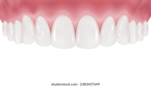 Upper row of teeth and gums are arranged in a clean, white curve. Healthy teeth and perfectly clean gums. Realistic vector illustration Isolated on white background