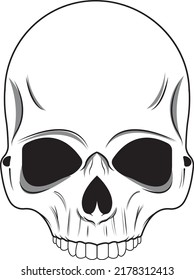 Upper Skull Teeth Illustration Tengkorak