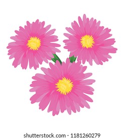 
An upper view of gerbera flower symbolizing nature beauty
