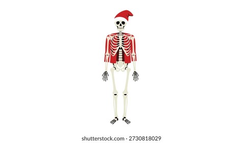 Esqueleto humano ereto vestido com uma camisa de Papai Noel vermelho festivo e chapéu vermelho combinando em um fundo branco limpo para o humor do feriado.
