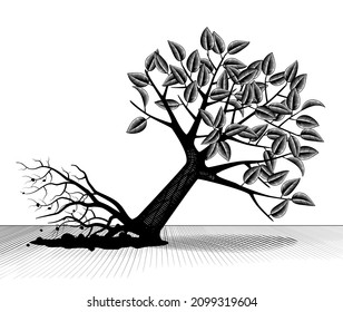 Uprooted and fallen tree with foliage. Vintage engraving stylized drawing. Vector illustration