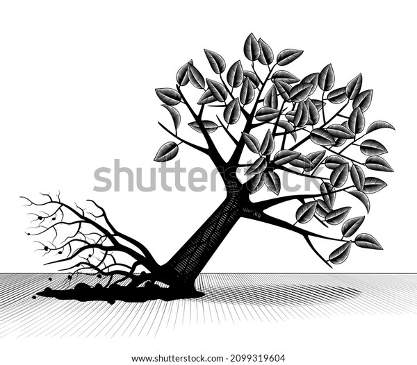 Uprooted and fallen tree with\
foliage. Vintage engraving stylized drawing. Vector\
illustration