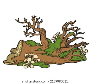 Uprooted old tree overgrown with moss and mushrooms  color variation for coloring page isolated on white background